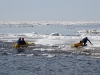 2011apr17_amata_age_0220