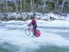 Arctic velo