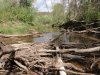 dsc00041