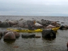 Dunte - Salacgrīva