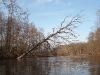 25042011_gauja_14