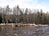 25042011_gauja_16