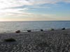 hiiumaa_052