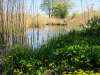 vecslocene_09-05-070
