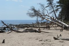 kolka-10jun108