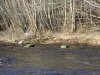 14032015_liela_jugla_022