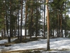 20110403_lilaste_0145