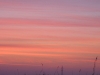 01-21