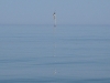 06-03