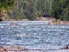norvegija2103_115