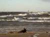 06_mangali_dsc00010
