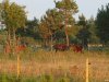 pakri_078