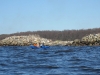 randu_plavas_037