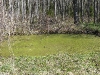 randu_plavas_054