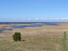 randu_plavas_060