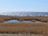 randu_plavas_061