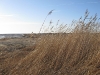 randu_plavas_118
