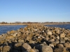 randu_plavas_146