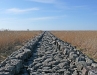 randu_plavas_159