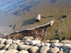 randu_plavas_161