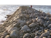 randu_plavas_164