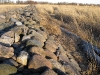 randu_plavas_173