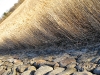 randu_plavas_186