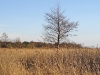 randu_plavas_192