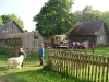 Roņu sala