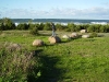 Saaremaa 2006