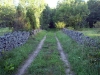 Saaremaa 2006