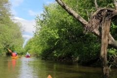 Uzava-24-05-25-IMG_4791