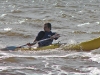 Saulkrasti surf 2007